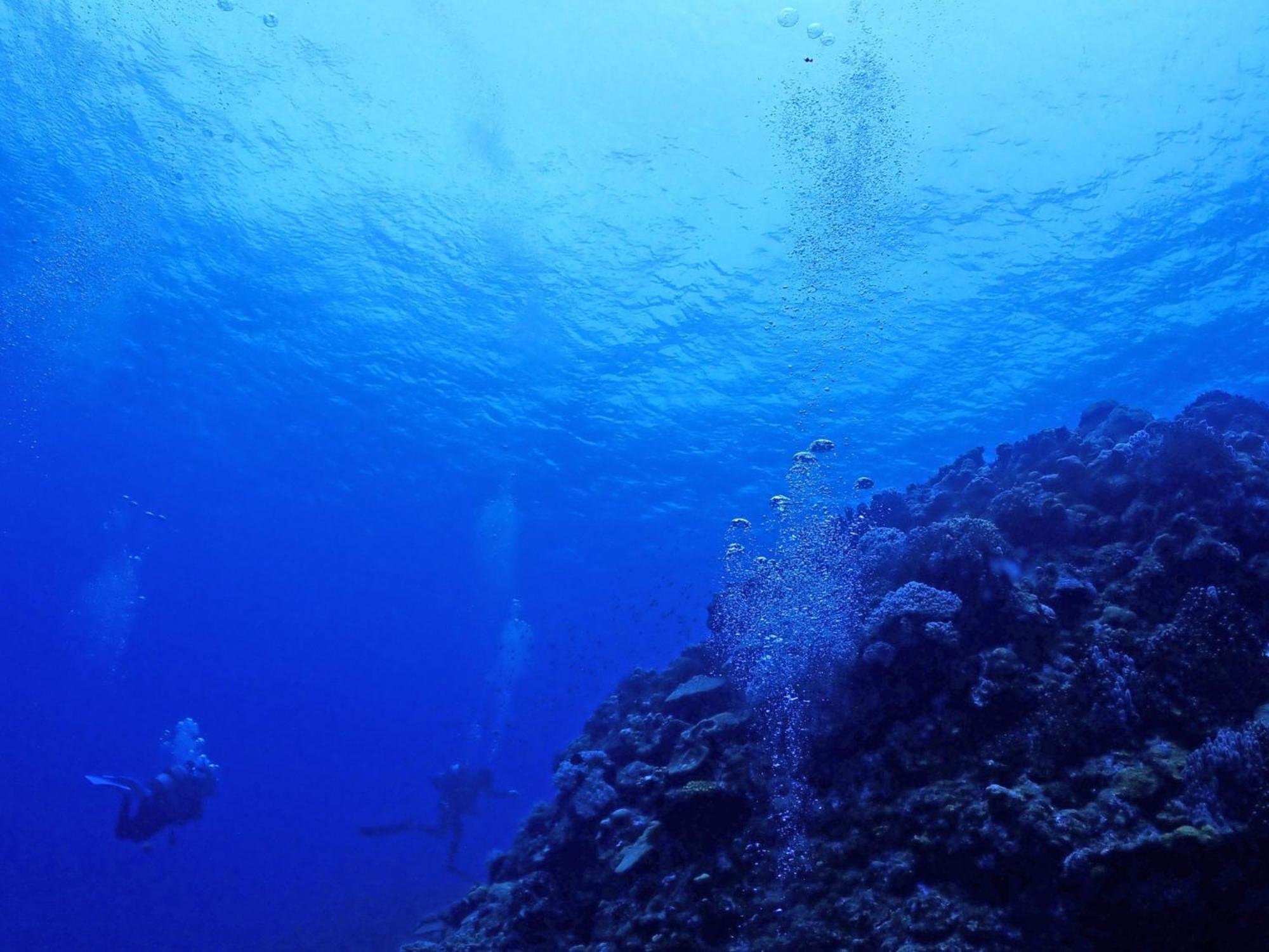 石垣島グループの宿 2216 にじいろ ユーグレナモール内 Ishigaki  외부 사진